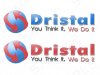dristal logo sample.jpg