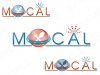 MOCAL SAMPLE.jpg