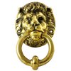 Lion 2.jpg
