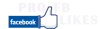 PROFBLIKE2_logo copy.png