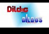 Dildos1.jpg