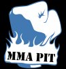 mma.jpg