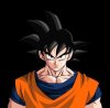 goku.jpg