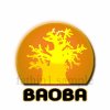 BAOBA copy.jpg