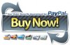 graybuynowbutton.jpg