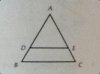 YMG-video1-geometry.jpg