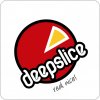 deepslice-1.jpg