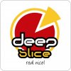 deepslice-2.jpg