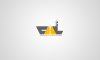 chl_gray_n_yellow.jpg