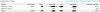 Adsense Income for The Month Juky 2012.jpg