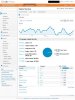 Visitors Overview - Google Analytics.jpg