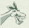 paardlogo.png