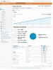 Visitors Overview - Google Analytics.jpg