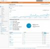 Visitors Overview - Google Analytics.jpg