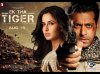 ek-tha-tiger-6a.jpg