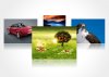 wp-carousel-slider.jpg
