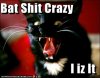 batshitcrazy.jpg