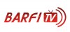 barfi.jpg
