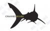 SHARK.jpg