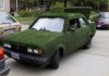 grass-car.jpg