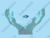 handfish.png
