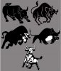 bull.jpg