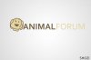animal copy.jpg