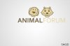 animal copy.jpg