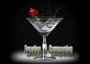 eveningcompanion3.jpg