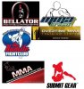 mma.jpg