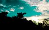 DSC_0109.jpg