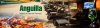 banner1.jpg