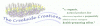 logo2.gif