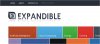 Logo_Expandible.jpg