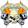 skull.jpg