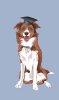 dog.jpg