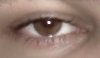 eye.jpg