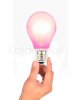 2922706-780524-hand-holding-ping-bulb.jpg