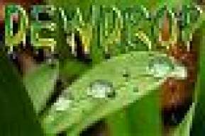 DewDrop