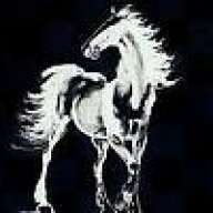shadowfax78