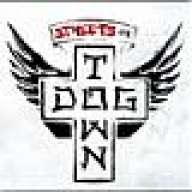 Dogtown_Raider