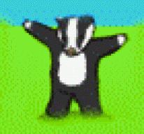badger