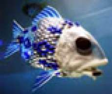 RumbleFish-1664