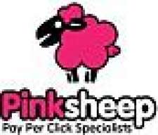 Joe - PinkSheep