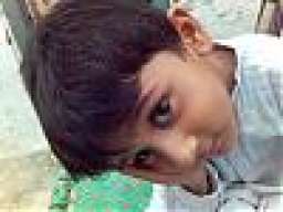 haiderkazmi1@gmail.com