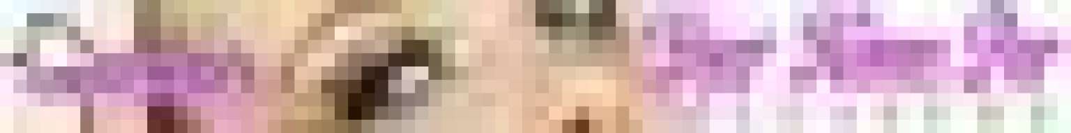 adulttoys