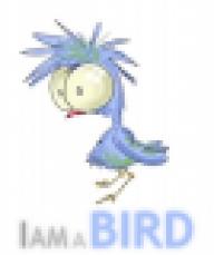 BirdOfPrey
