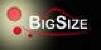 BigSize
