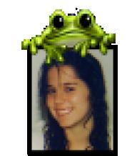 pixelfrog