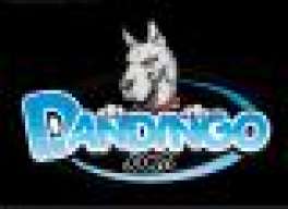 Dandingo